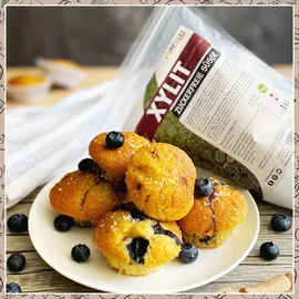 ProFuel - Xylit Birkenzucker 1000 g Pulver