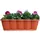 Buri Balkonkasten 60 x 20 x 16,5 cm Rot