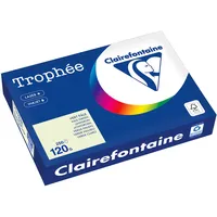 Clairefontaine Kopierpapier 1246PC A4 120g lindgrün 250 Blatt