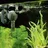 Eheim Aquarienpumpe Aquaball 650