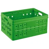 SUNWARE Klappbox Square 54 x 38 x 26,5 cm 1-tlg. grün