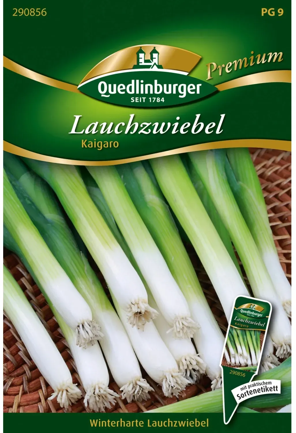 Preisvergleich Produktbild Quedlinburger Lauch Zwiebel ''Kaigaro''