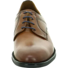 LLOYD Gala | Braun - 46,5