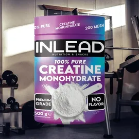 INLEAD Creatin Monohydrat Pulver 500 g