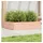 vidaXL Pflanzkübel 100x100x23 cm Massivholz Douglasie