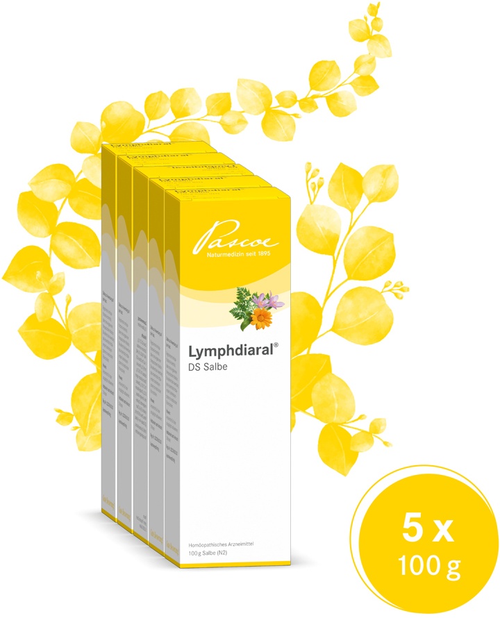 Preisvergleich Produktbild LYMPHDIARAL DS Salbe