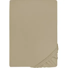 biberna 0077866 Jersey-Elastic 180 x 200 - 200 x 220 x 25 cm taupe