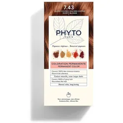 Phyto Pflanzenhaarfarbe 112 ml Braun