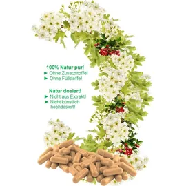 Naturheilmittel Heilsteine Methusalem GmbH Neu-Ulm Weissdorn Kapseln 180 St.