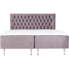 Home Affaire Exclusive 141 x 208 cm lila