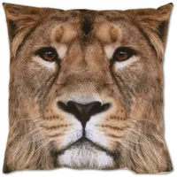 BestLivings Kissenhülle Fotodruck 40x40 Löwe mit Füllung