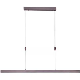 Paul Neuhaus Adriana sepiabraun