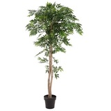 Europalms Ficus Longifolia, Kunstpflanze, 165cm