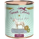 Terra Canis Getreidefrei Pferd mit Steckrübe, Fenchel & Salbei 12 x 800 g