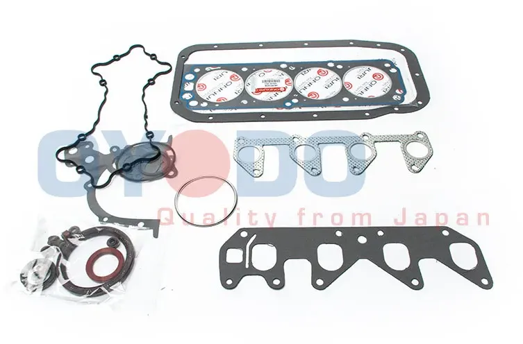 OYODO Dichtungsvollsatz, Motor 10u0007oyo für DAEWOO