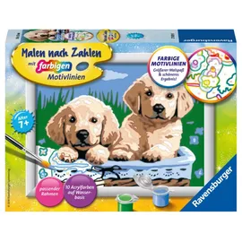 Ravensburger Süße Hundewelpen Malen nach Zahlen 10 St. mehrfarbig