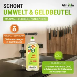 AlmaWin Spülmittel Sanddorn Mandarine 1 l
