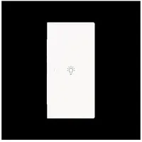 Busch-Jaeger Wippe 2-fach rechts, m.Sym. 6231-22-44M