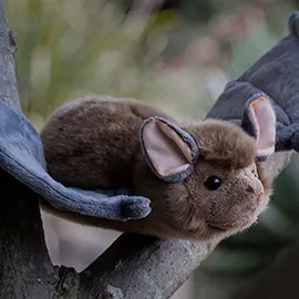 TOBAR Fledermaus Animigos Kuscheltier