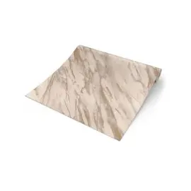 Rasch Textil Papiertapete 200133 10 m x 0,45 m 300 g Beige/Gold 200133