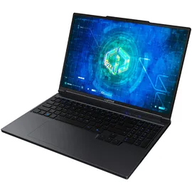 Captiva Highend Gaming I94-489GE 16'' Intel Core i9-14900HX 32 GB RAM 1 TB SSD RTX 5070 Ti Win11 Pro