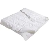 Traumschlaf Thinsulate 4-Jahreszeiten-Bettdecke, Füllung: 100% 3M Thinsulate Faser 155x220 cm