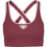 Dynafit Alpine Bra Rot XS