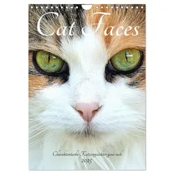 Cat Faces - Charakterstarke Katzengesichter ganz nah (Wandkalender 2025 DIN A4 hoch), CALVENDO Monatskalender