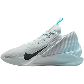 Nike Herren Basketballschuhe, G.T. Jump Academy Pure PLATINUM/MEDIUM ASH-GLACIER BL, 44