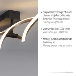 Paul Neuhaus Polina 1 geschwungen schwarz