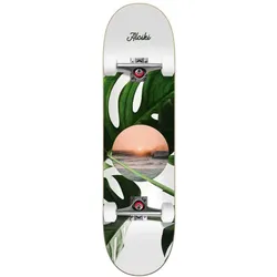 Skateboard Coast 7.6