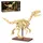 Jamara Dinosaurier Fossil Velociraptor Bausatz 128-tlg. 402891