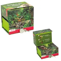 ROTH Spardose Tyrannosaurus