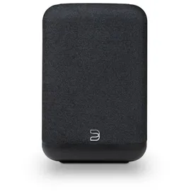 BLUESOUND Pulse Flex schwarz