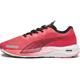 Herren fire orchid/puma black 42,5