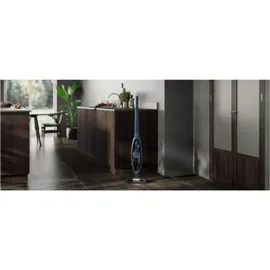 AEG Clean 5000 Akku-Staubsauger AS52CB21DB