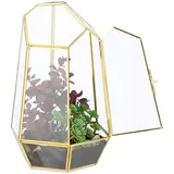 Relaxdays Pflanzenterrarium Glas Kupfer 26 x 18 x 15 cm