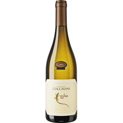18er Set Collavini Chardonnay dei Sassi Cavi 2022 - Versandkostenfrei!
