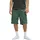 QUIKSILVER Cargoshorts "Freefall Cargo", Herren, Gr. S, forest, Obermaterial: 100% Baumwolle., Hosen