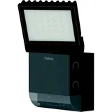 Theben LED-Strahler theLeda S8-100 BK