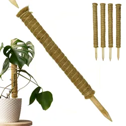 Erweiterbare Pflanzenstütze mit Kokosfilz – Nachhaltige Rankhilfe 60 cm