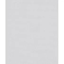 Erfurt Vliestapete Basic 406 53 cm 10,05 m weiß 406