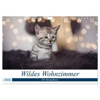 Calvendo Wildes Wohnzimmer - Die Bengalkatze (Wandkalender 2026 DIN
