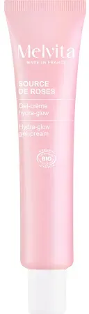 Melvita Source De Roses Healthy Glow Gel-Crème Tube 40ml