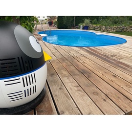 Aqualux Wärmepumpe Pinguin 4 kW mit App Steuerung