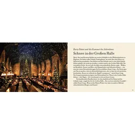 Panini Adventskalender Weihnachten in Hogwarts