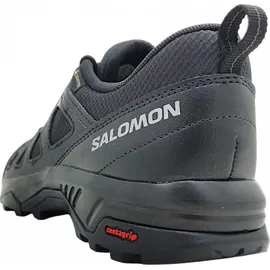Salomon X Braze Gore-Tex Black / Black / Phantom 42