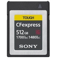 Sony 512 GB