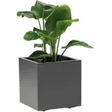 XXXLutz Xxxl Blumenkasten Anthrazit, - 39.5x39.5x39.5 cm,