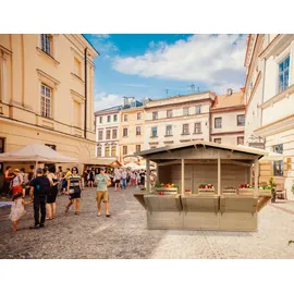 TIMBELA Marktbude Holz Gartenhaus, Holz, Verkaufsstand Holzhaus mit Theke, fünf fenster, H232x336x263 cm/6 m2, große multifunktionale Garten-Bar Verkaufshütte Verkaufsstände aus